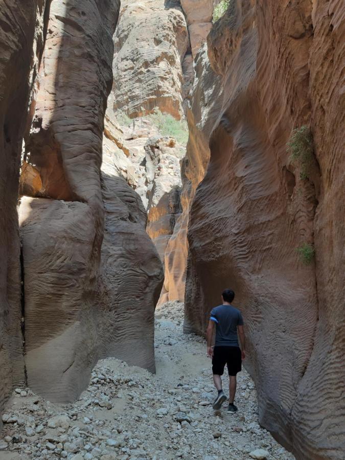 The Rock Camp Petra Hotel Wadi Musa Bagian luar foto