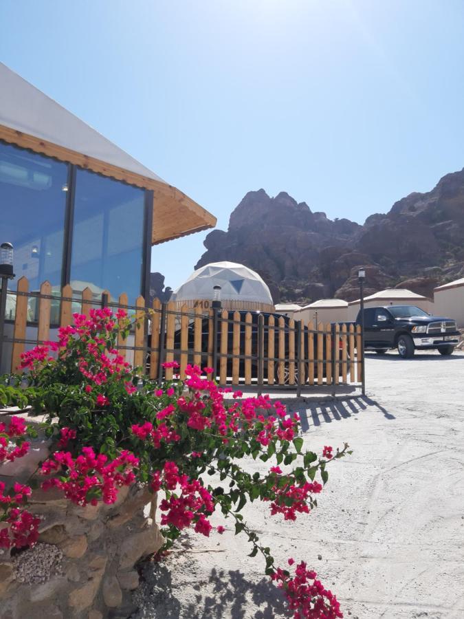 The Rock Camp Petra Hotel Wadi Musa Bagian luar foto