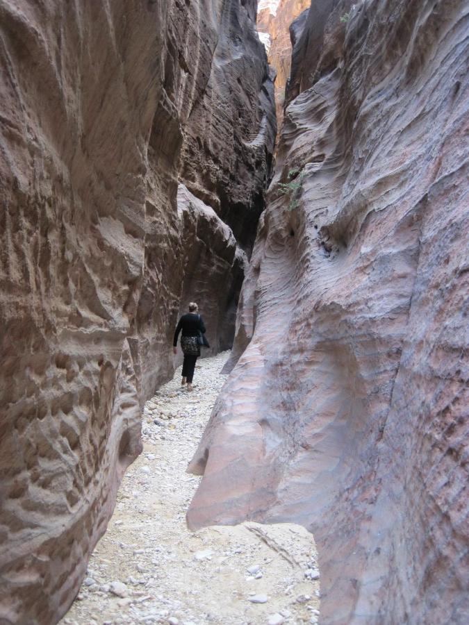 The Rock Camp Petra Hotel Wadi Musa Bagian luar foto